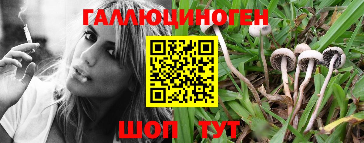 Галлюциногенные грибы мухоморы  Вход с VPN  купить  сайты  Новоалександровск 